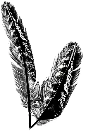 Plumes 